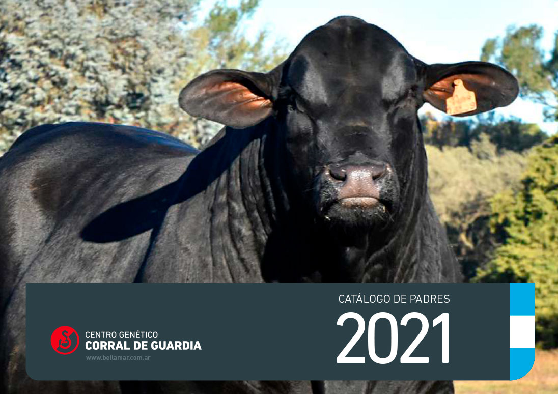 Catálogo de Padres 2021 Argentina
