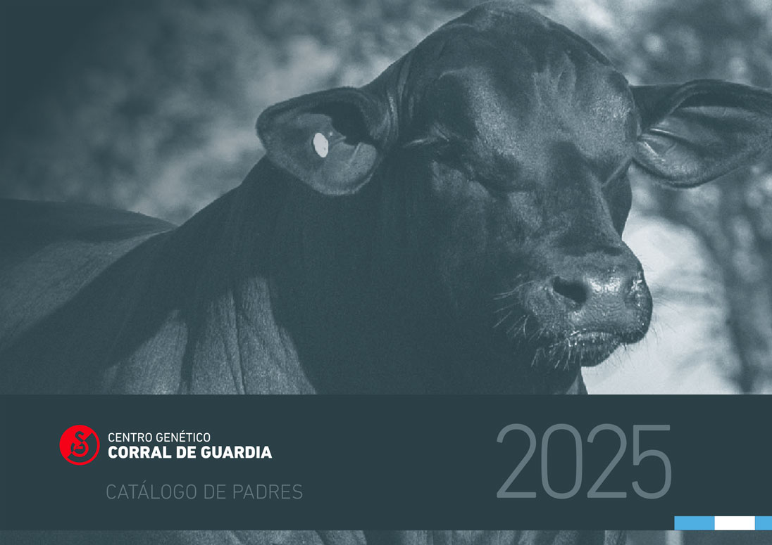 Catálogo de Padres 2025 Argentina